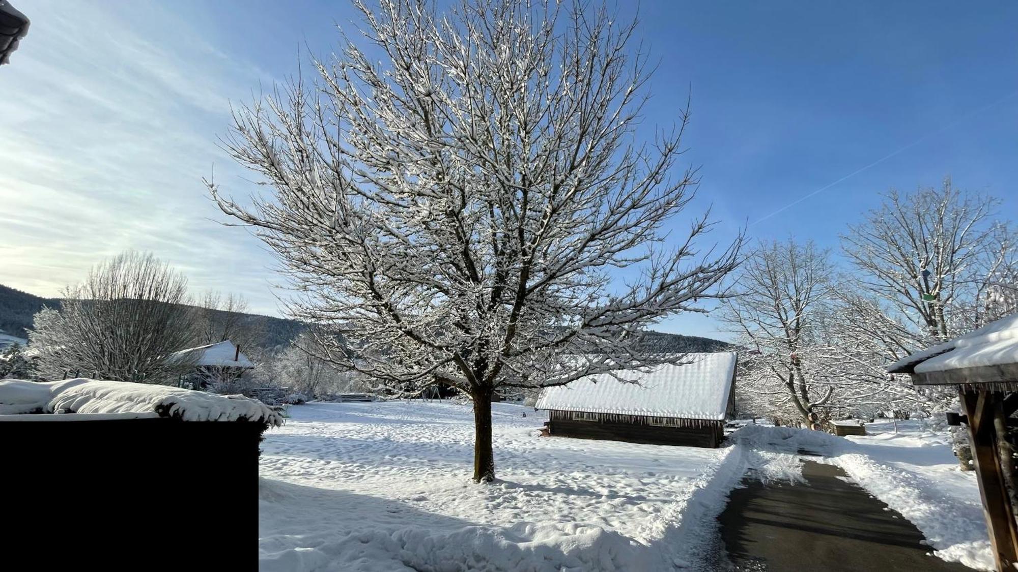 ※ Residence Pomme De Pin - Terrasse - Nature ※ Xonrupt-Longemer Esterno foto